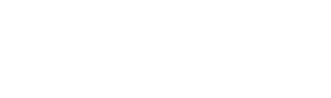 Stellar Tech INC
